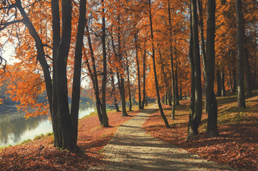 Autumn scene