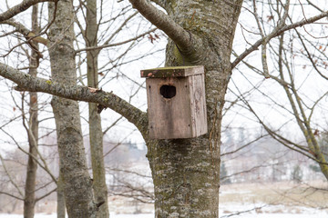 Bird house on a tree