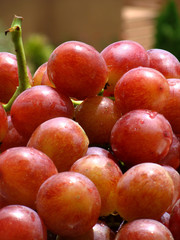 Grapes, they can be used for making wine, jam, juice, jelly, grape seed extract, raisins, vinegar, and grape seed oil. 