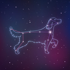 Vector illustration of Canis Major. Dog constalletion hand-drawn background. Astrology picture with stars on space gradient background. © tanyabosyk