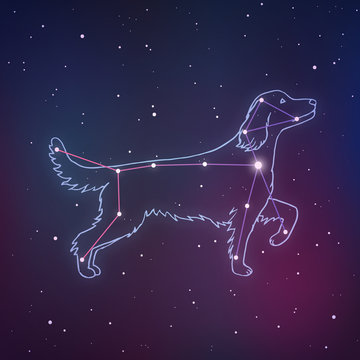 Constellation Animal Images – Browse 19,324 Stock Photos, Vectors, and Video  | Adobe Stock