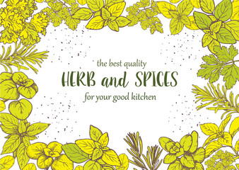 Herbs and spices label. Engraving illustrations for packaging.