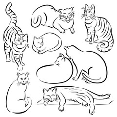 Cat Line Designs_Set 1