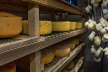 cheese at the dairy, cheese is ripen on racks