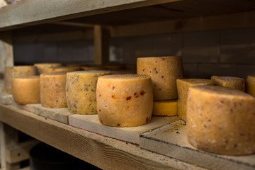 cheese at the dairy, cheese is ripen on racks