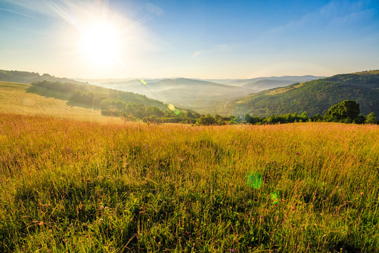 meadow with tall grass in mountains at sunrise