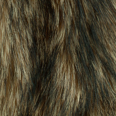 sample of brown-black fur