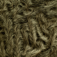 sample of fur of sheep