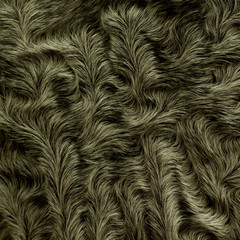 sample of fur of sheep