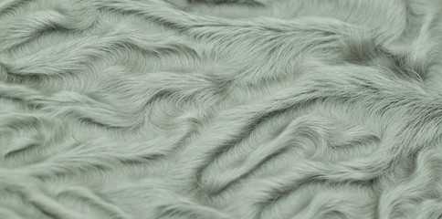 sample of fur of sheep