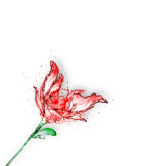 Rose made of water splash