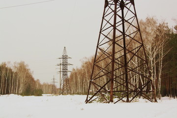 power line © irina_g