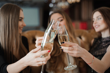 Portrait of happy young friends touching the glasses with each o