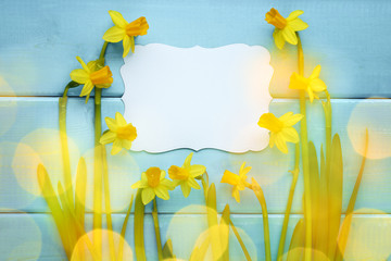 Daffodil flower with blank card