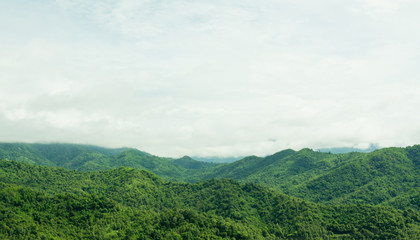 Mountain landscape view with the forest background