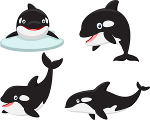 Obraz premium Killer whale cartoon collection set