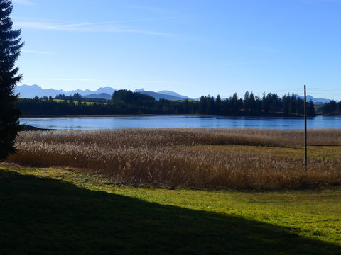 Sameisterweiher Ostallg&auml;u