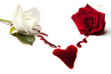 Roses bleeding a heart