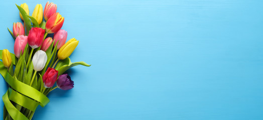 Spring tulip flower - obrazy, fototapety, plakaty