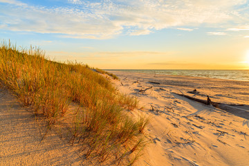 Grass on sand dune and sunset over Leba beach, Baltic Sea, Poland