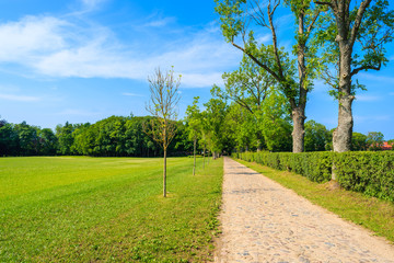 Fototapeta na wymiar Path in green park near Leba village, Pomerania region, Poland