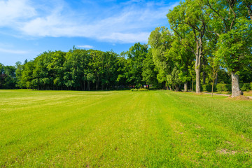 Obraz na płótnie Canvas View of green park near Leba village, Pomerania region, Poland