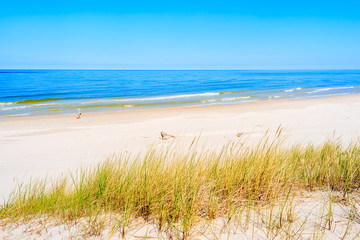 Fototapeta na wymiar Grass sand dune and young woman tourist walking in distance on Lubiatowo beach, Baltic Sea, Poland