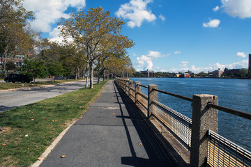 Roosevelt island