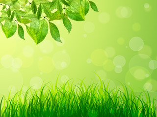 abstract nature background with grass and leaves. Spring. Summer