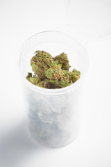 Close up of marijuana buds