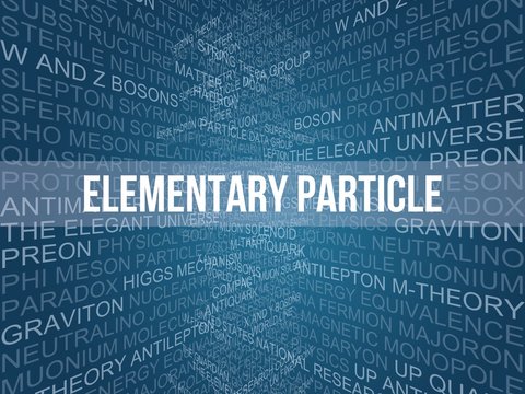 Elementary Particle