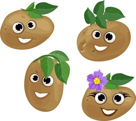 Funny potato with green leaf
