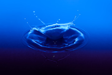 Blagica (MidNightBlue)