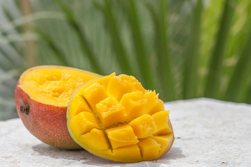 Fresh mango organic product