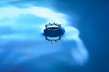 Blanche (CornFlowerBlue)