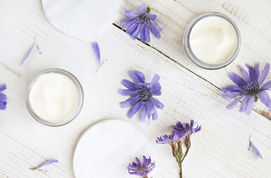 Chicory infused facial cream. Blue flowers and sample products over white table. Herbal cosmetics.