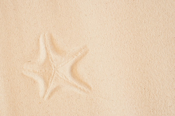 Fototapeta na wymiar Seashell print in the sand