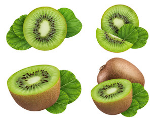 Fototapeta premium Set of kiwis isolated on white background