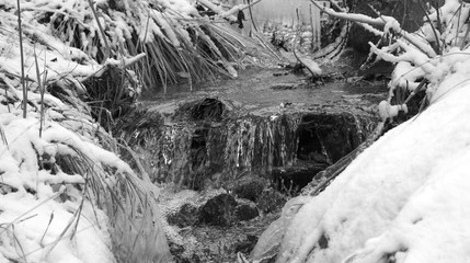 Acqua Ruscello ghiacciato