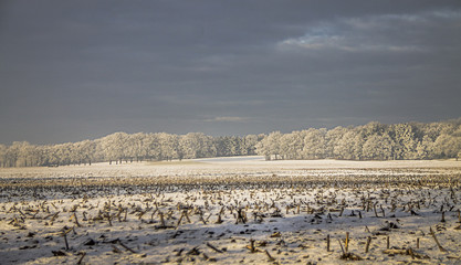 landschap nederland