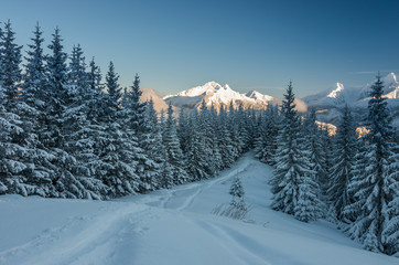 Fototapeta premium Tatra mountains winter landscape, tourist trail in snow, Poland