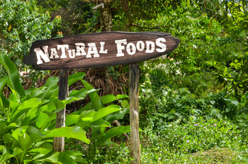 Natural Foods wooden sign on a background of green jungle. Aarrow, palm trees