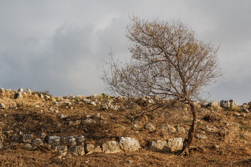 Ruins of the ancient Lycian city Letoon, Turkey