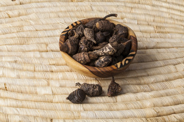 Gowe - Thiouraye (Cyperus articulatus) - african (Senegal) incense 