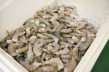Marketplace bin filled with fresh shrimp.