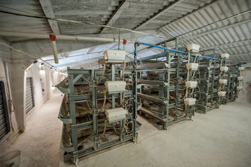 poultry processing Plant