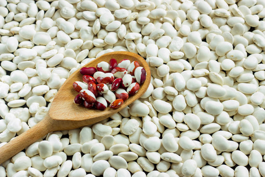 white beans on a table with wooden spoon