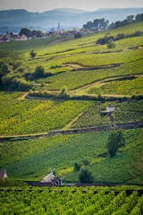 Kussenhoes climats de Bourgogne © Eléonore H