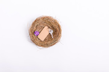 bird's nest or shelter, concept of a flat or apartment purchases