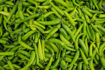 Green Chill